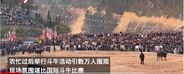 APP下载-Scout重返赛场，险胜首场状态出色，西班牙队观众沸腾！(西班牙淘汰赛)