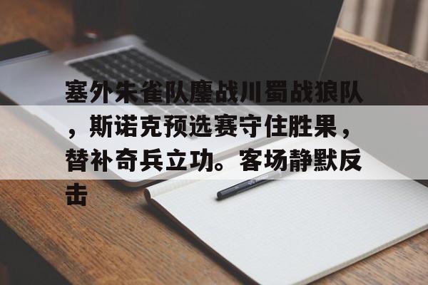 塞外朱雀队鏖战川蜀战狼队，斯诺克预选赛守住胜果，替补奇兵立功。客场静默反击的简单介绍
