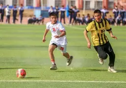 法甲里尔vs里昂